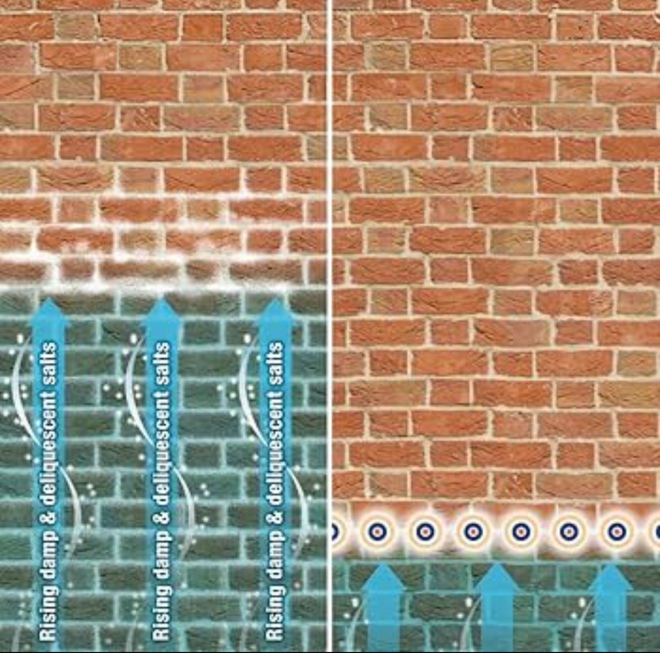 WhatsApp Image 2026-03-05 at 18.28.28 (4)