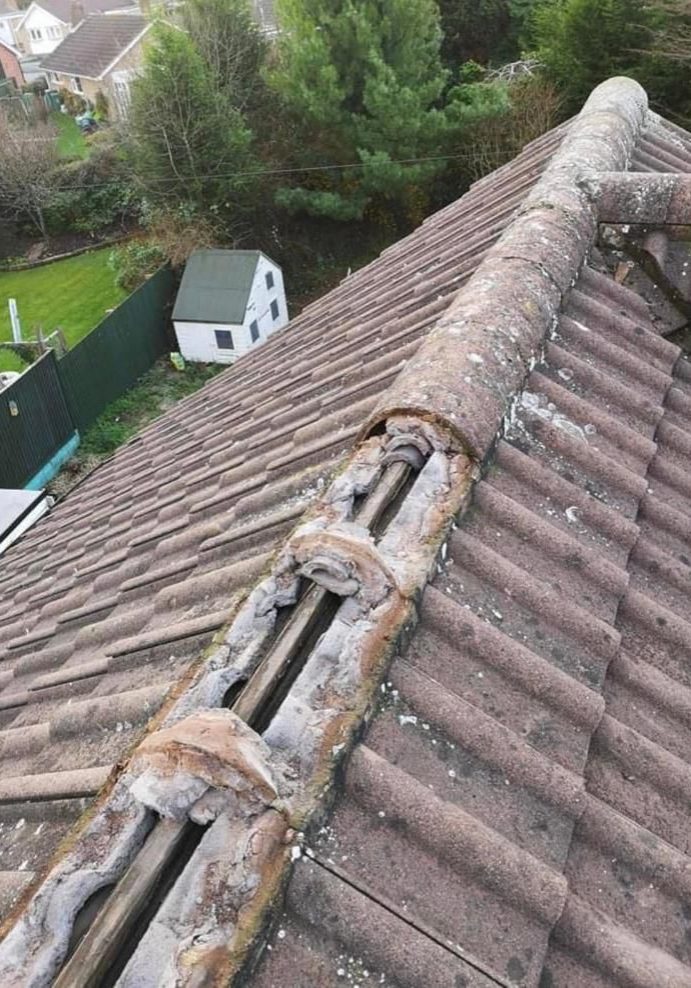 WhatsApp Image 2026-01-13 at 13.18.32 (4)