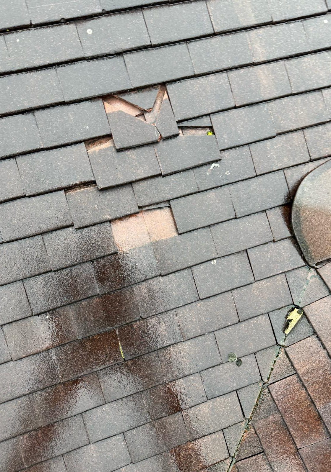 WhatsApp Image 2026-01-13 at 13.18.33 (2)