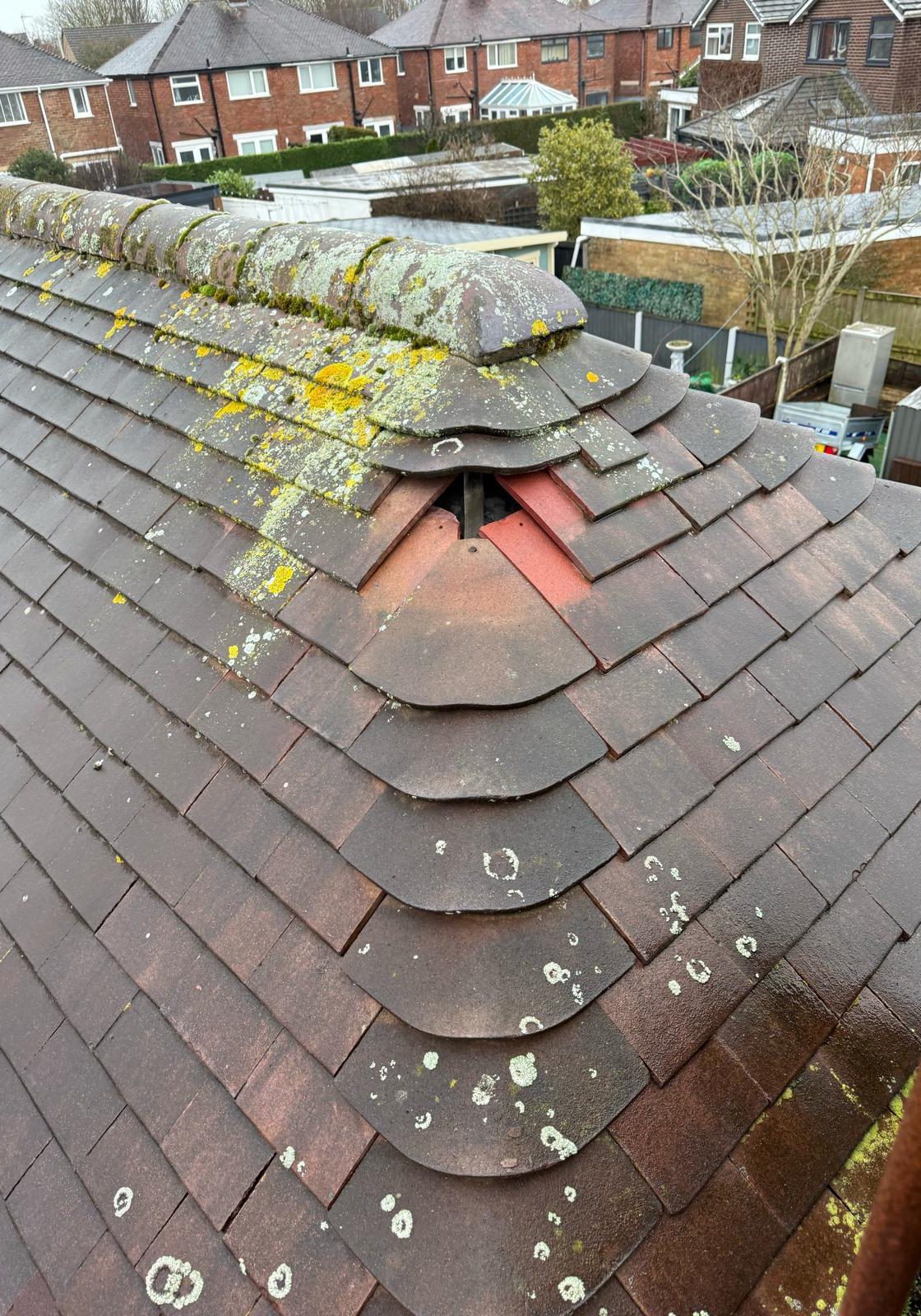 WhatsApp Image 2026-01-13 at 13.18.34 (1)