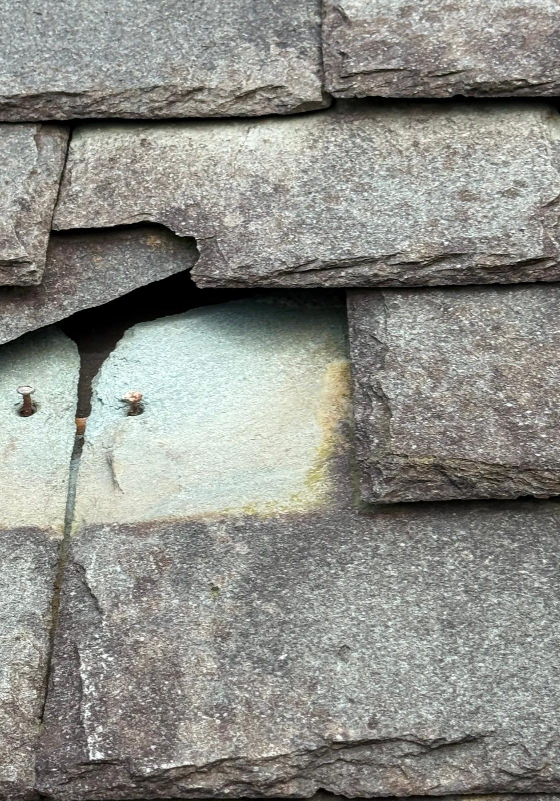 WhatsApp Image 2026-01-13 at 13.23.05 (2)